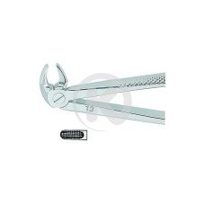 Extracting Forceps English No. 13 MED - 1288